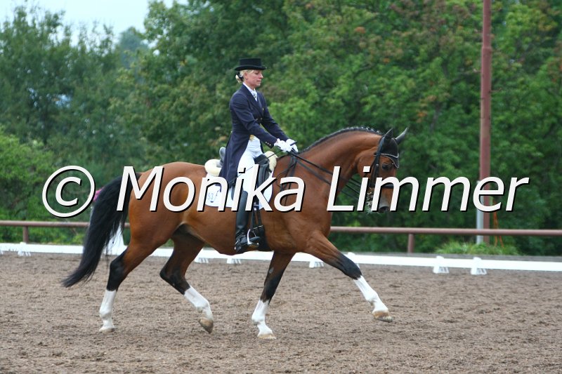 109M1189_Enrico_Dressur S_St. Georg.JPG